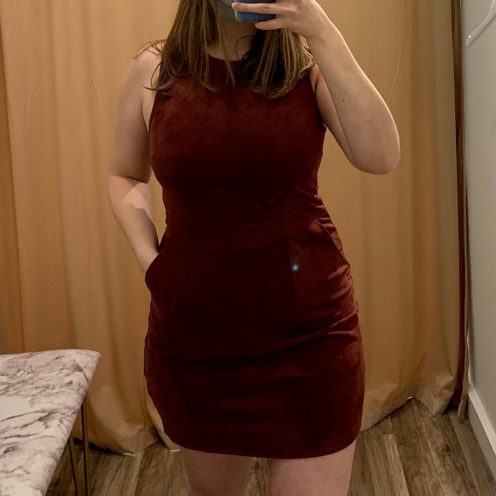 Bishop + Young Suede Dress